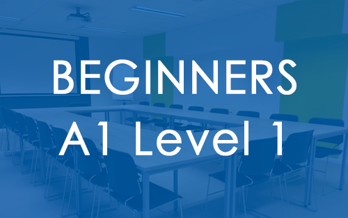 A1.1 - Beginners Level 1
